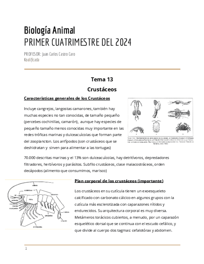 Miniatura del documento Tema-13-Crustaceos.pdf