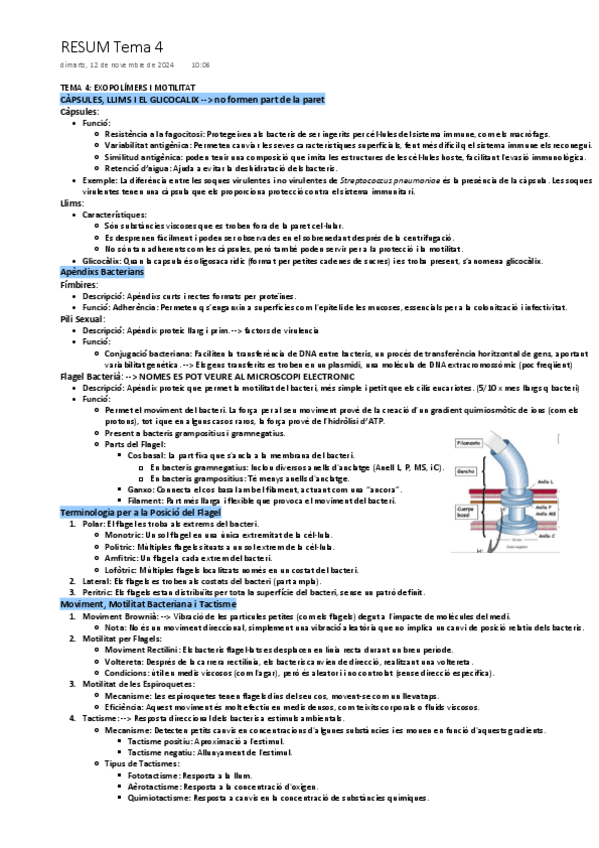 Miniatura del documento tema-4-EXOPOLIMERS-i-MOTILITAT.pdf