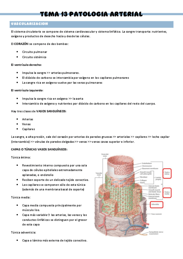 Miniatura del documento PATOLOGIA-QUIRURGICA-GENERAL-T13.pdf