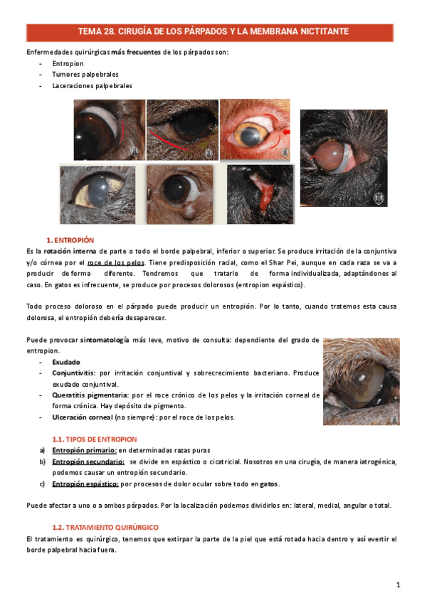 Miniatura del documento Cirugia-ocular.pdf