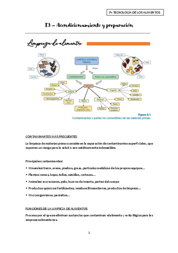 Miniatura del documento T3-Acondicionamiento-y-preparacion-apuntes.pdf