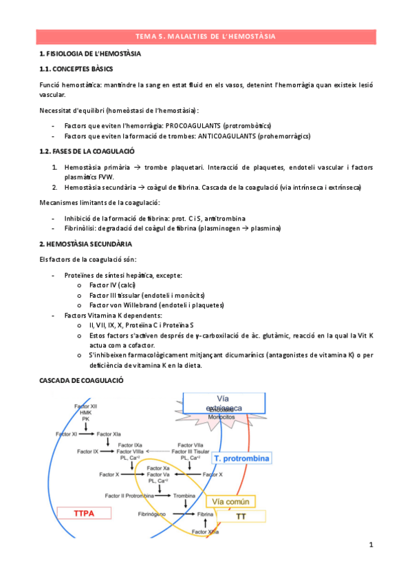 Miniatura del documento TEMA-5-2425.pdf