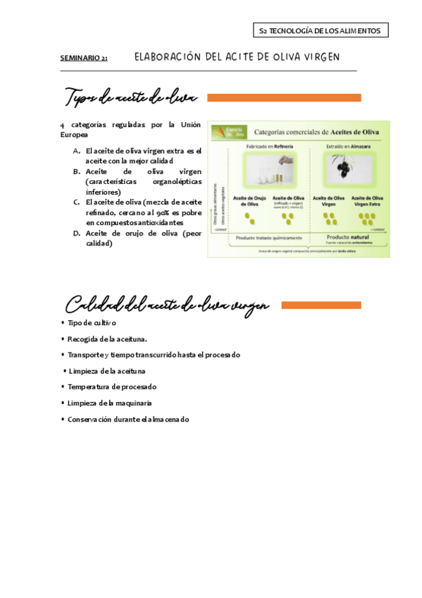Miniatura del documento Seminario-2-Elaboracion-de-aceite-de-oliva-virgen-apuntes.pdf