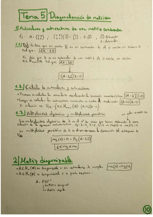 Miniatura del documento Algebra Tema 5 Diagonalizacion de matrices.pdf