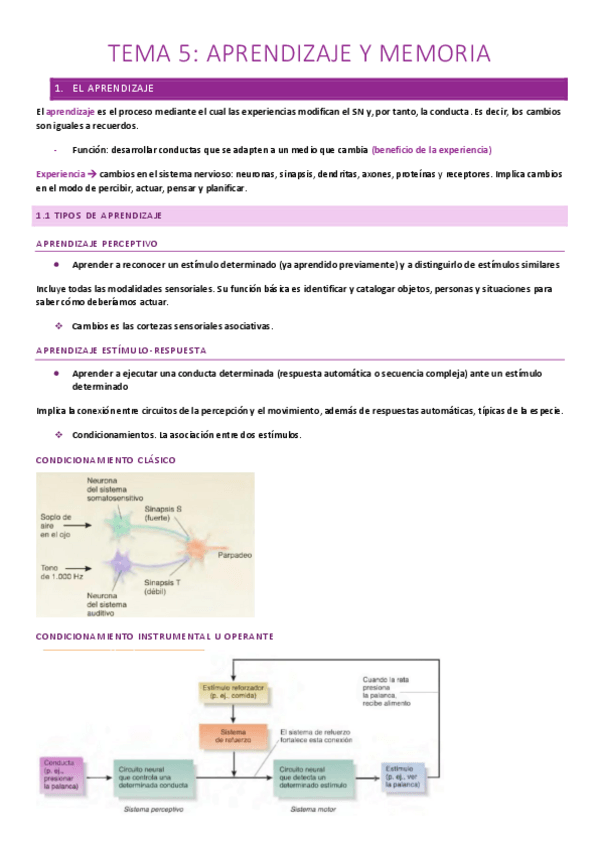 Miniatura del documento T.5-Aprendizaje-y-memoria.pdf