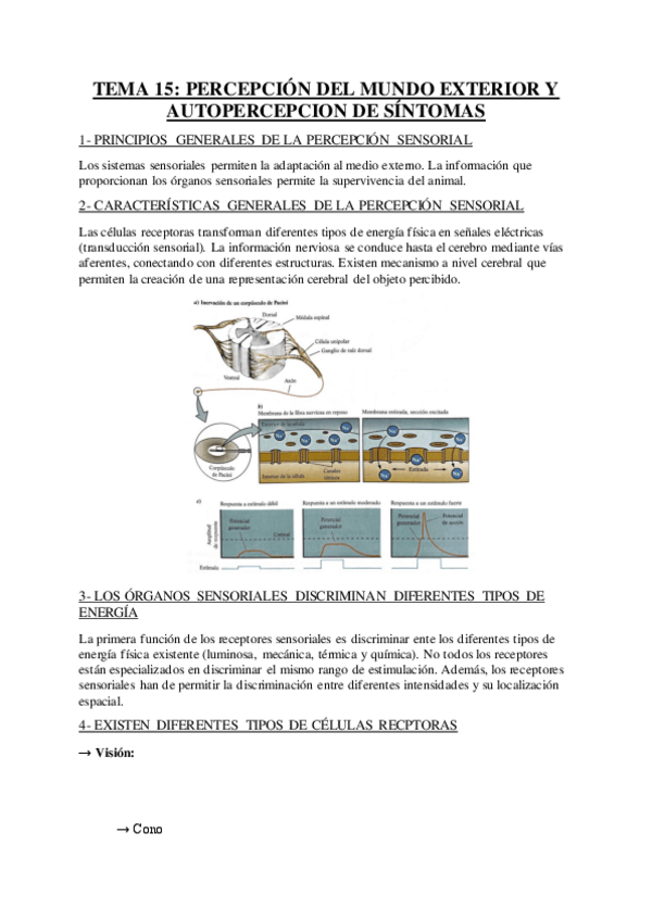 Miniatura del documento TEMA-15-PERCEPCION-DEL-MUNDO-EXTERIOR-Y-AUTOPERCEPCION-DE-SI.pdf