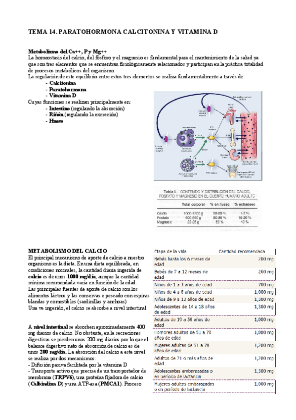Miniatura del documento Paratohormona vit D calcitonina.pdf