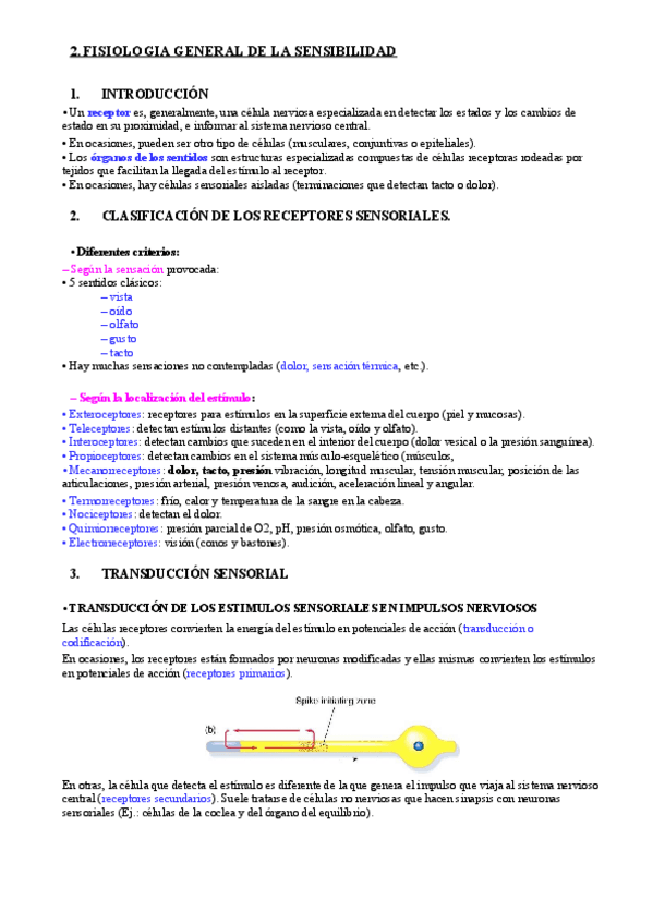 Miniatura del documento T16 Fisiología general de la sensibilidad.pdf