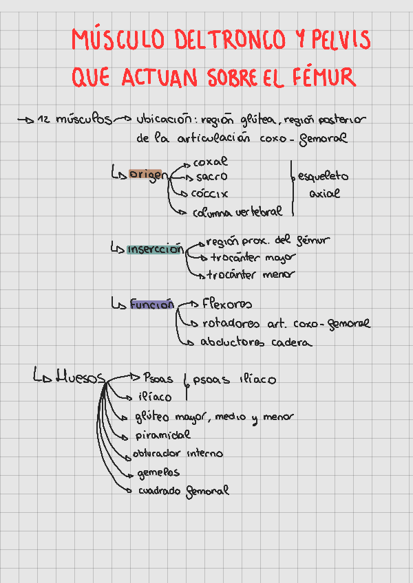 Miniatura del documento MUSCULOS-extremidades-inferiores-241107092807.pdf