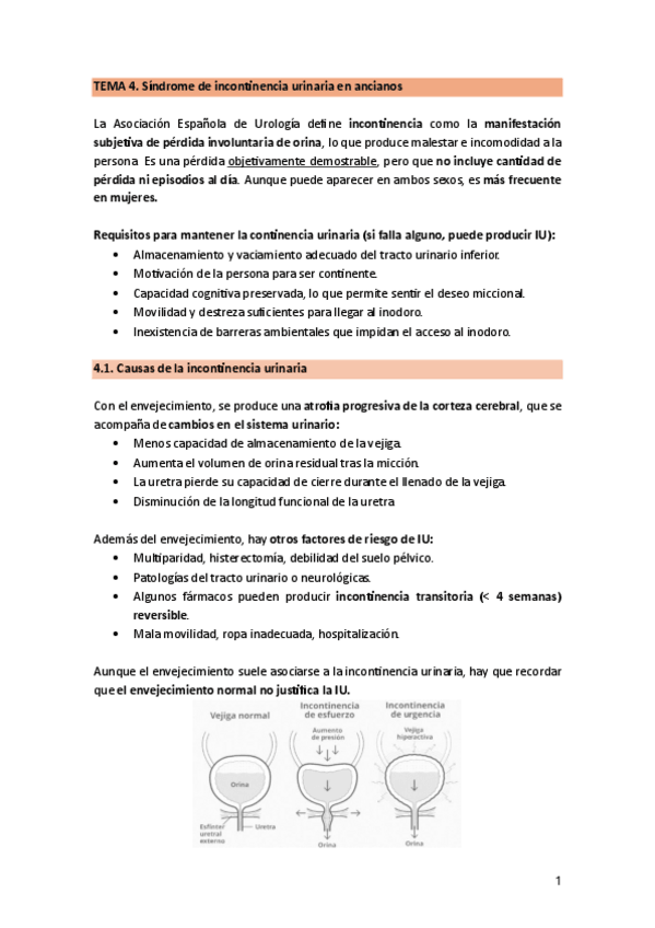 Miniatura del documento TEMA-4.6.-SindromeIncontinencia.pdf