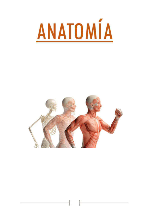 Miniatura del documento TEMA-2-nivel-tisular-de-organizacion.pdf