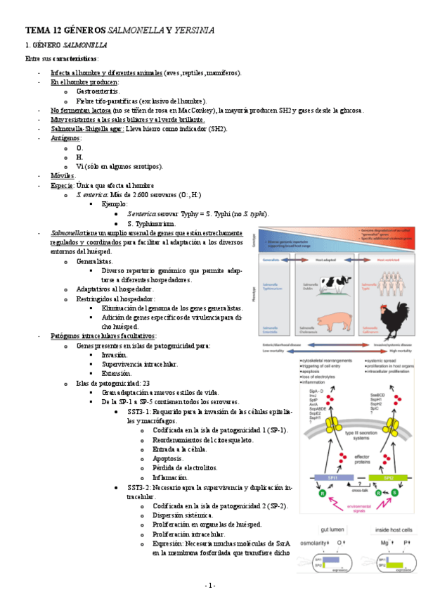 Miniatura del documento MICROBIOLOGIA-TEMA-12-GENEROS-SALMONELLA-Y-YERSINIA.pdf
