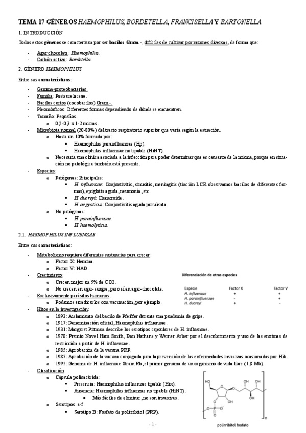 Miniatura del documento MICROBIOLOGIA-TEMA-17-GENEROS-HAEMOPHILUS-BORDETELLA-FRANCISELLA-Y-BARTONELLA.pdf