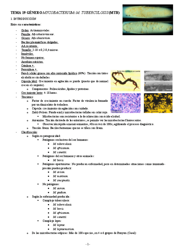 Miniatura del documento MICROBIOLOGIA-TEMA-19-GENERO-MYCOBACTERIUM-M.-TUBERCULOSIS-MTB.pdf
