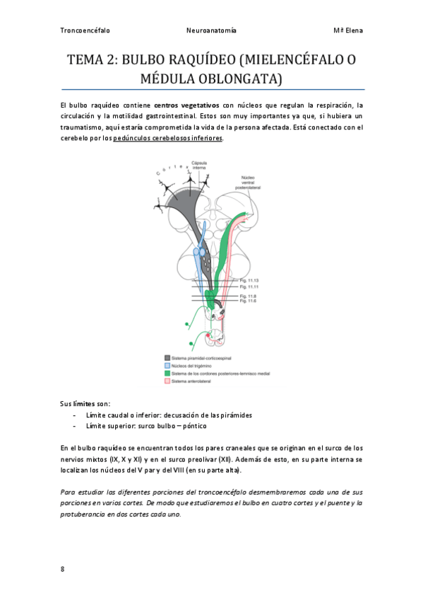 Miniatura del documento Tema-2-Bulbo-raquideo.pdf