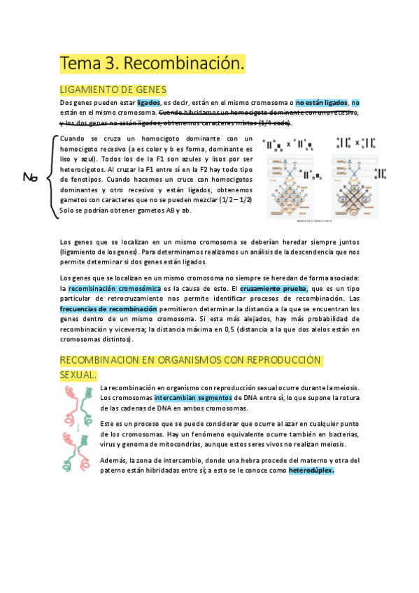 Miniatura del documento Tema-3.-Recombinacion..pdf