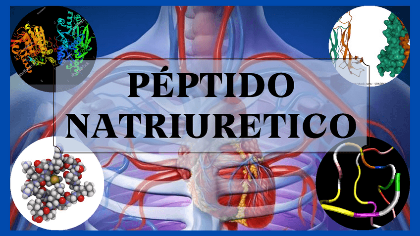 Miniatura del documento Peptido-natriuretico.pdf