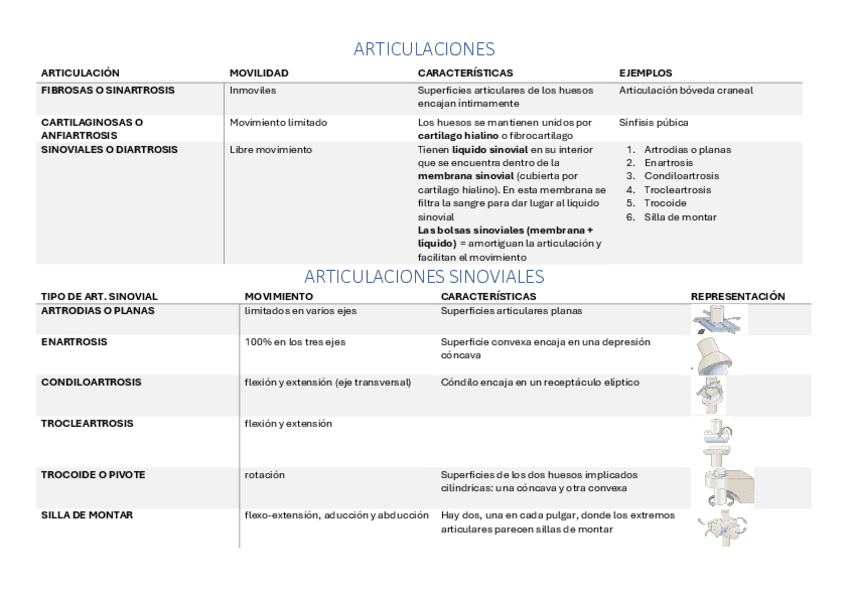 Miniatura del documento TABLA-ARTICULACIONES.pdf
