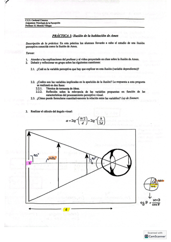 Miniatura del documento Practica-1-percepcion.pdf