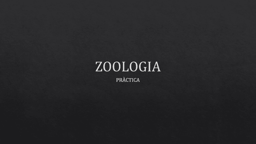 Miniatura del documento ZOOLOGIA-examen-practic.pdf