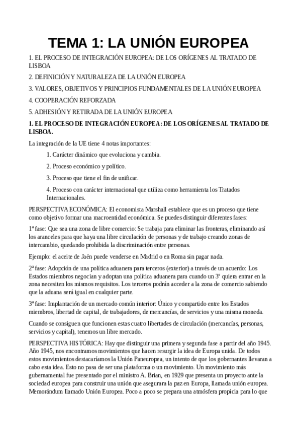 Miniatura del documento TEMA-1.-IDUE.pdf