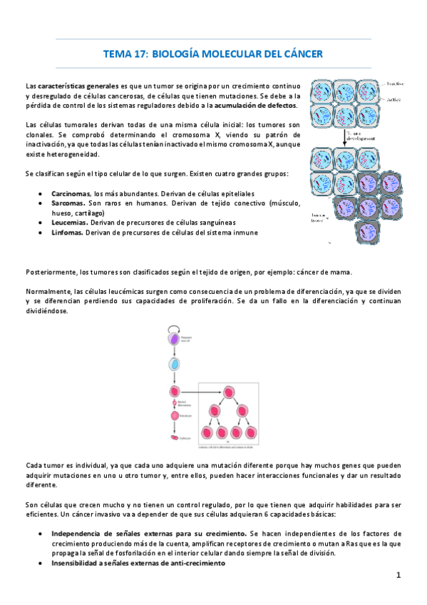Miniatura del documento TEMA-17.pdf