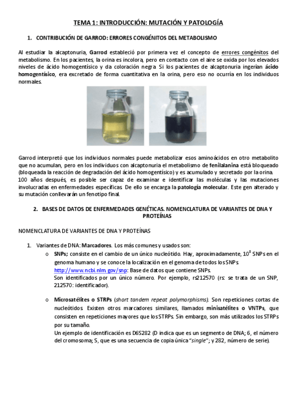 Miniatura del documento TEMA-1..pdf