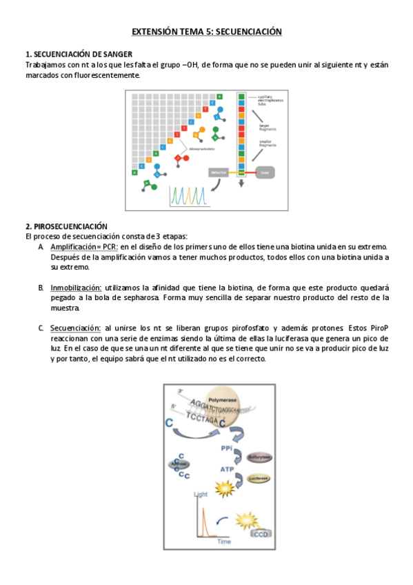 Miniatura del documento TEMA-5-EXTENSION.pdf