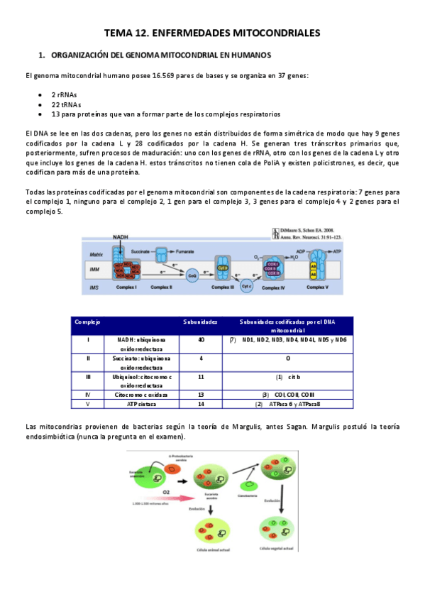 Miniatura del documento TEMA-12.pdf
