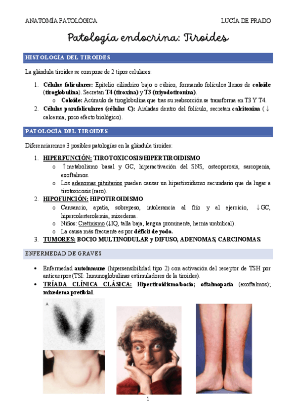 Miniatura del documento ENDOCRINO-I.-TIROIDES.pdf