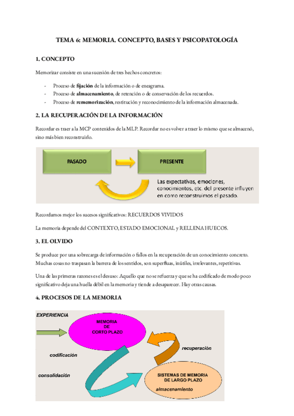 Miniatura del documento SALUD-MENTAL-T6.pdf