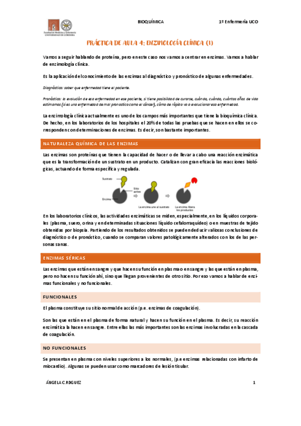 Miniatura del documento Practica-Aula-4-Enzimologia-Clinica.pdf