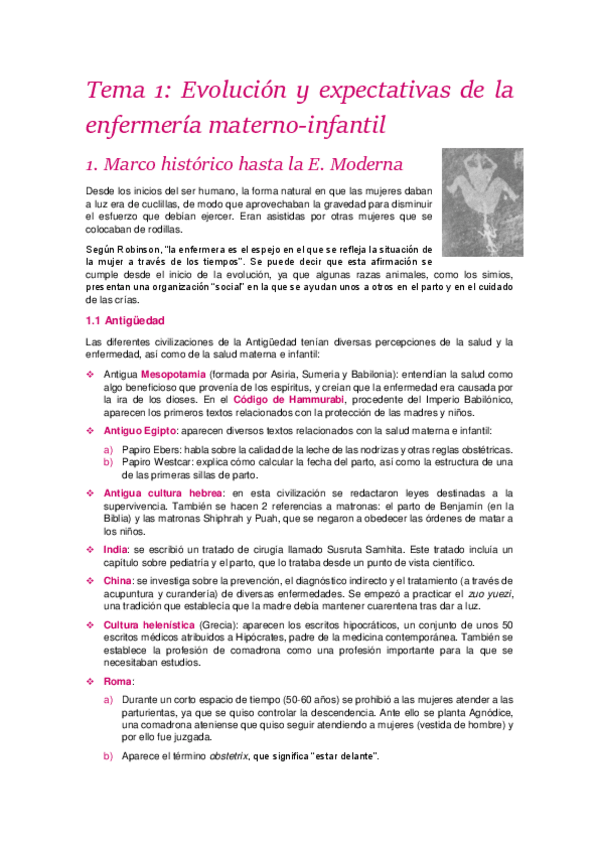 Miniatura del documento Teoria-materno-completo.pdf
