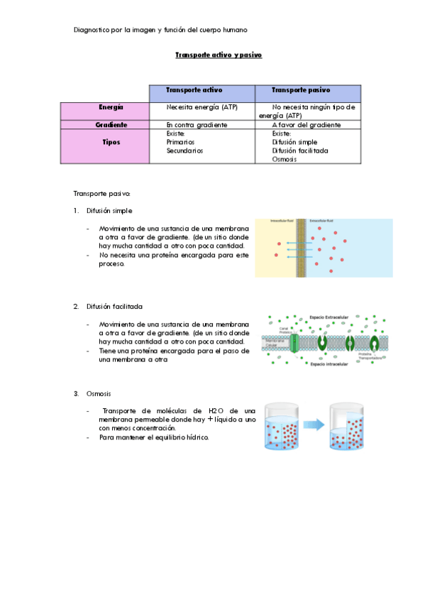 Miniatura del documento Transporte-activo-y-pasivo.pdf