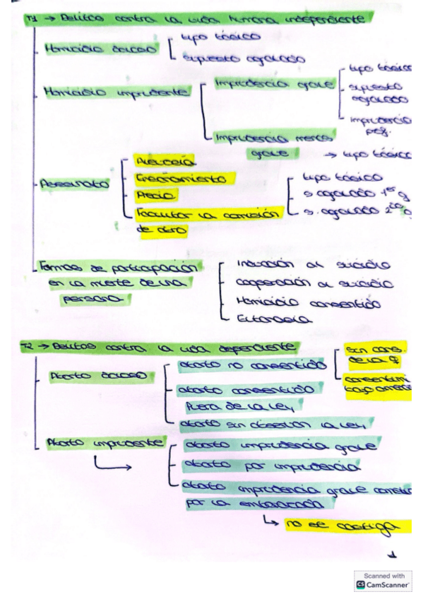 Miniatura del documento Derecho-penal-II.pdf