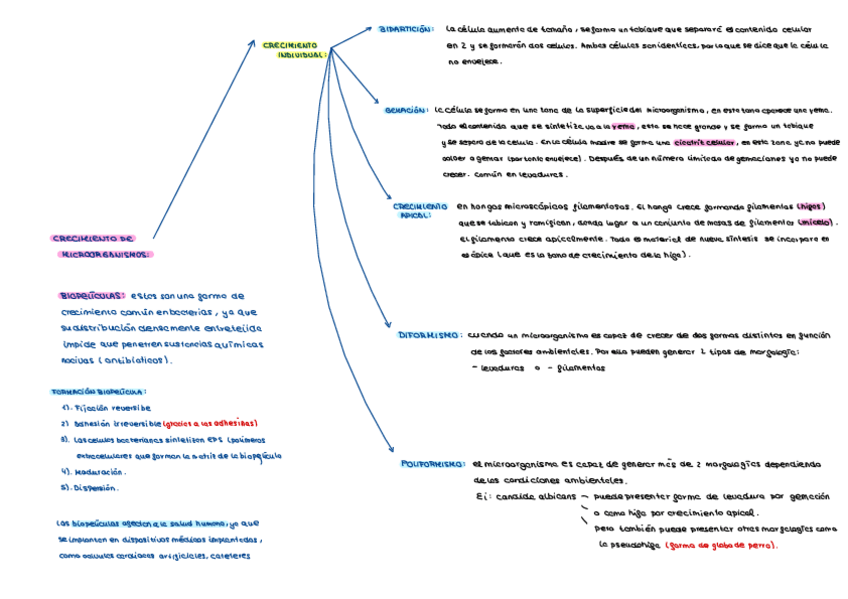 Miniatura del documento Esquemas-Tema-6-Y-7.pdf