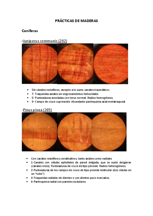 Miniatura del documento PRACTICAS-DE-MADERAS.pdf