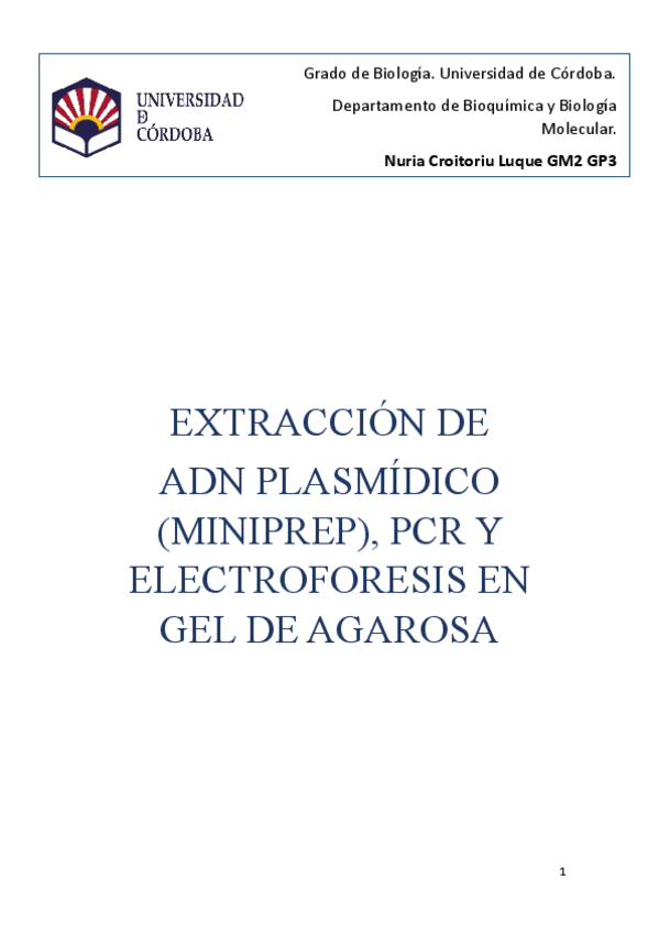 Miniatura del documento EXTRACCION-DE-ADN-PLASMIDICO-MINIPREP-PCR-Y-ELECTROFORESIS-EN-GEL-DE-AGAROSA.pdf