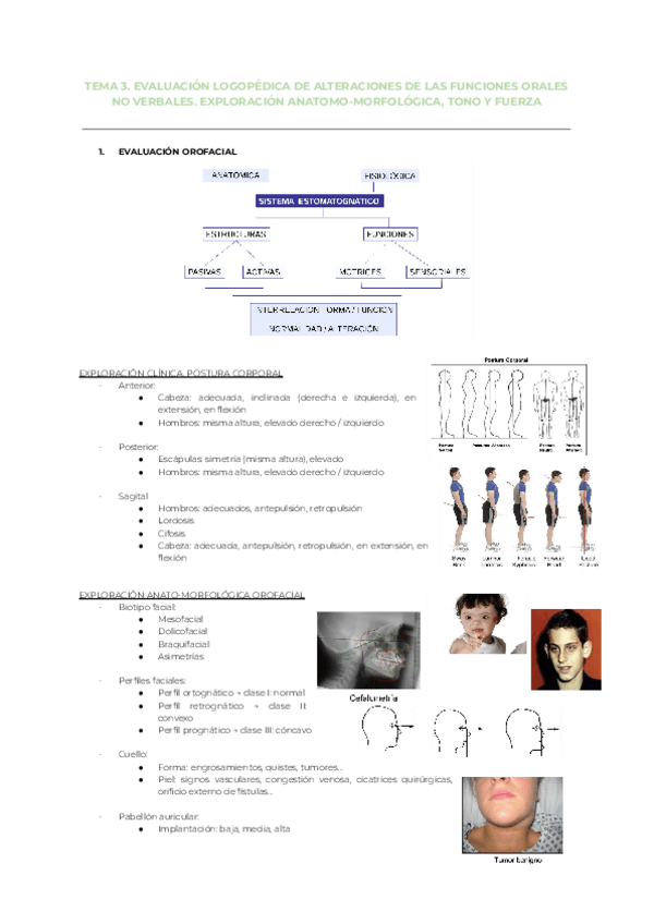 Miniatura del documento Tema-3.-Exploracion-anatomo-morfologica-tono-y-fuerza.pdf