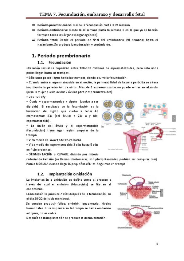 Miniatura del documento Tema 7. Reproductiva.pdf