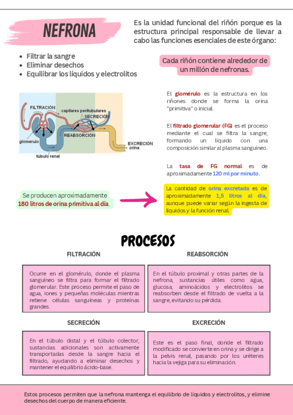 Miniatura del documento ADULTO-II-TEMA-1.pdf