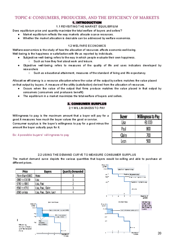 Miniatura del documento TOPIC-4-intro-economics.pdf