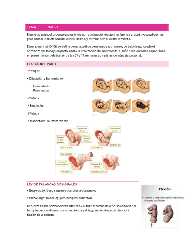 Miniatura del documento TEMA-5-PARTO-LENO.pdf