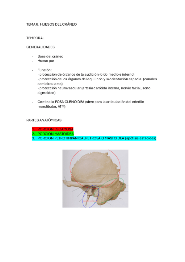 Miniatura del documento TEMA-6-hueso-temporal-cyc.pdf