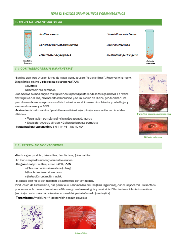 Miniatura del documento Tema-12APUNTES.pdf