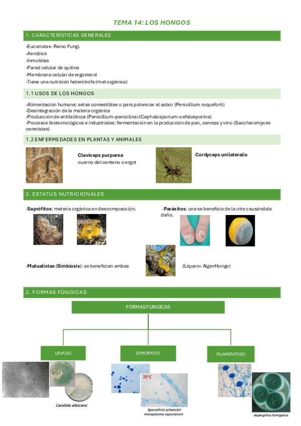 Miniatura del documento TEMA-14APUNTES.pdf