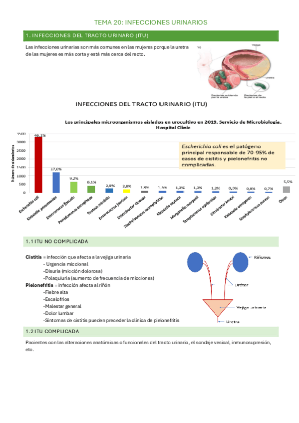 Miniatura del documento Tema-20APUNTES.pdf