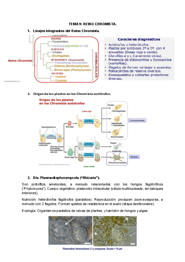 Miniatura del documento TEMA-9.pdf