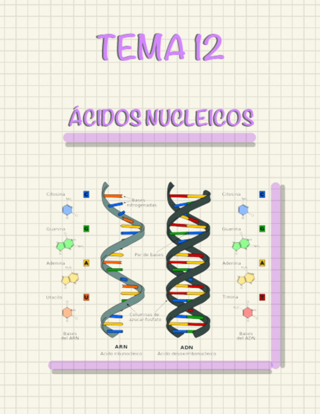 Miniatura del documento TEMA-12-ACIDOS-NUCLEICOS.pdf