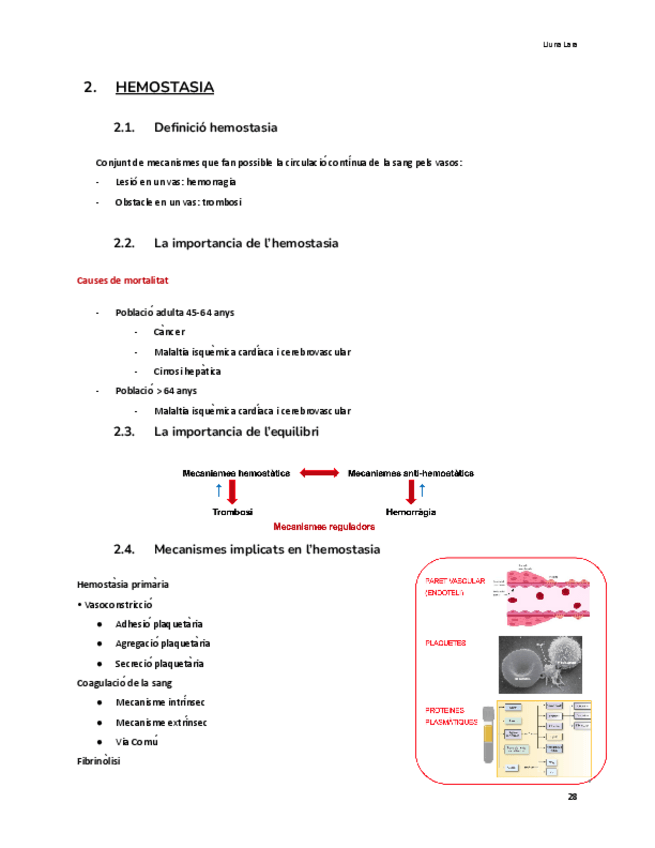 Miniatura del documento HEMOSTASIA.pdf